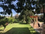 Garden Garden